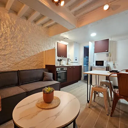 Apartament Charmante Proche Du Temple Vienne (Isere)